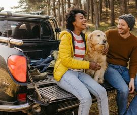 Dog in Truck Tailgate